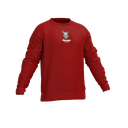 Sweatshirt à col rond en coton