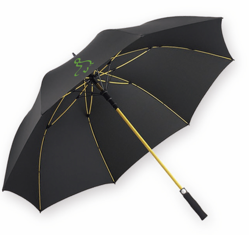 [I.7] Parapluie personnalisé
